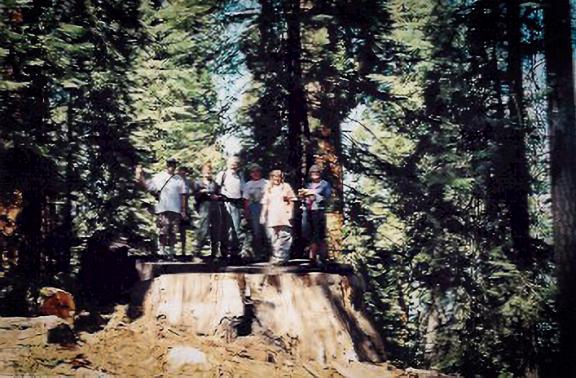 Group posing on a Sequoia Stump