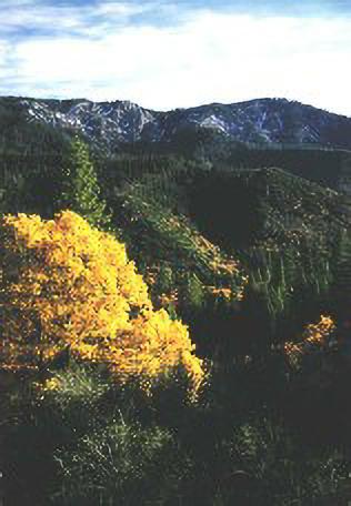 Slate Mountain Fall Colors